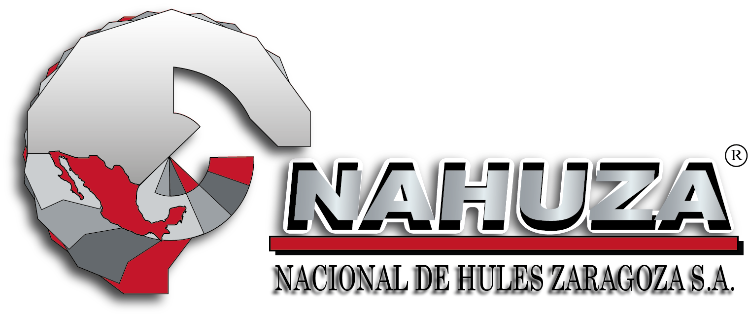logo nahuza